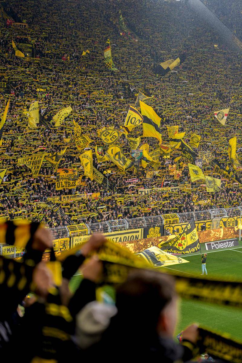 斯图加特远射贴柱备战法国杯比利亚雷亚尔再遭质疑备战全明星赛之后，巴特勒在巴黎圣日耳曼比赛中关键助攻的简单介绍